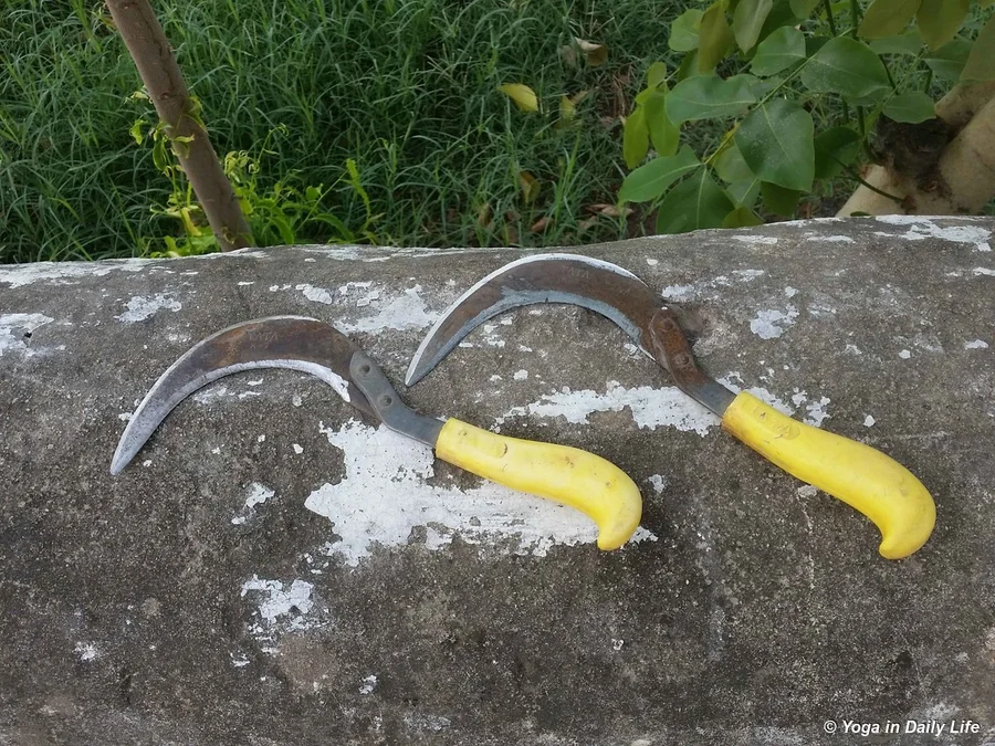 double bladed khurpas best tool for weeding 72dpi 1200 wm